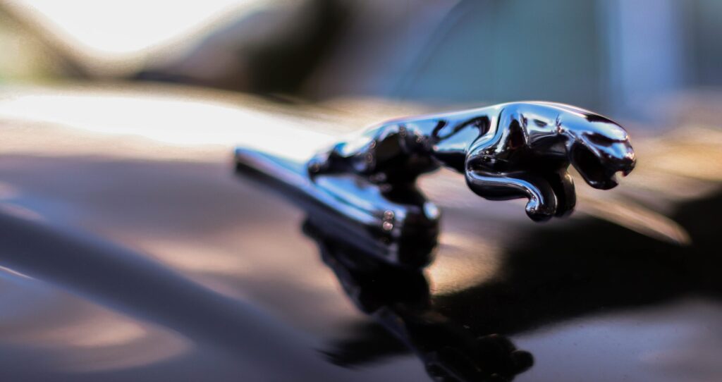 Photo by David Correa: via Pexels